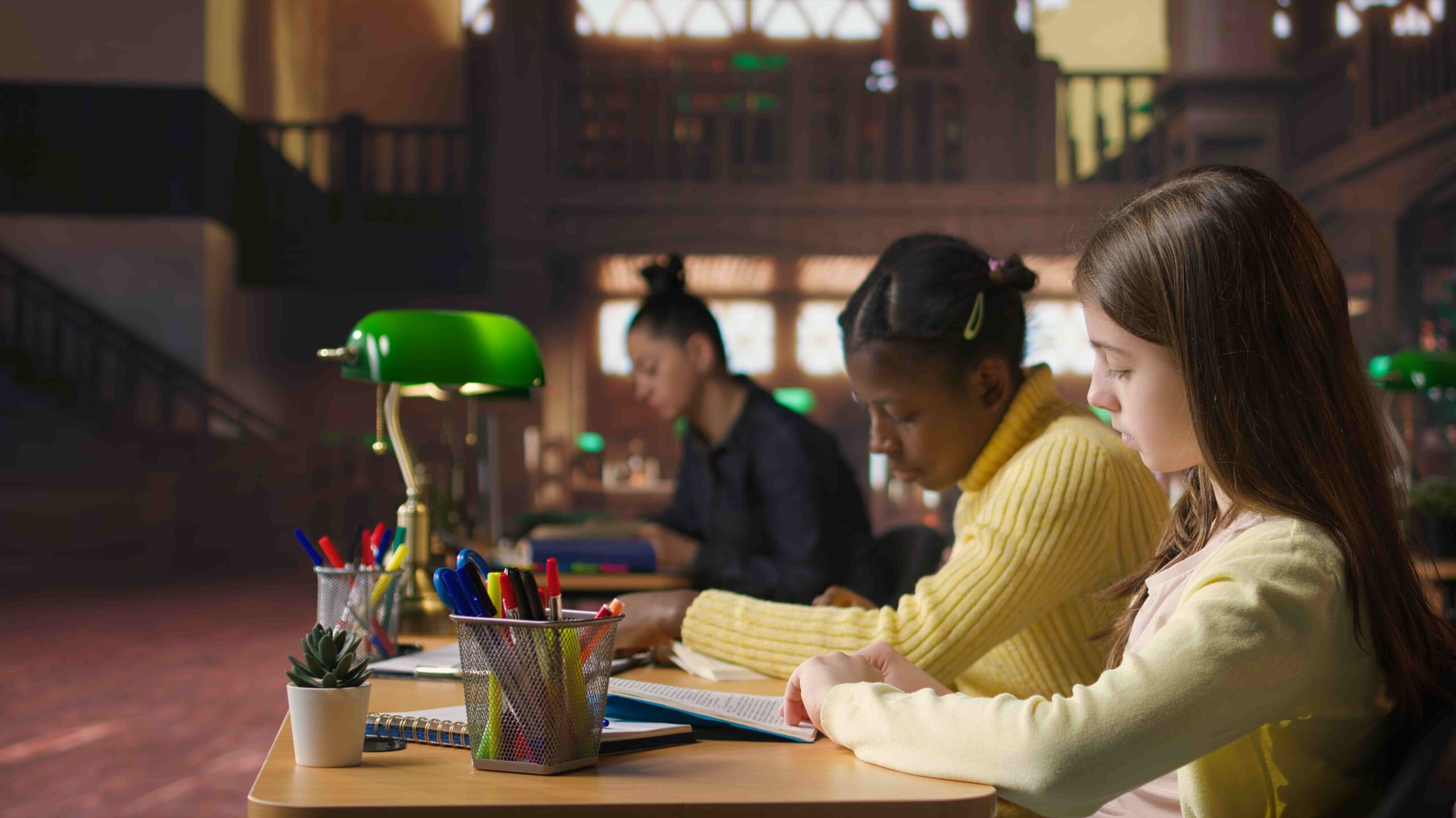 Steps to Inclusive Mainstream Schools